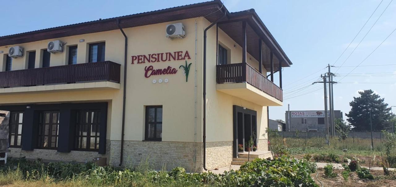 באיה Pensiunea Camelia מראה חיצוני תמונה