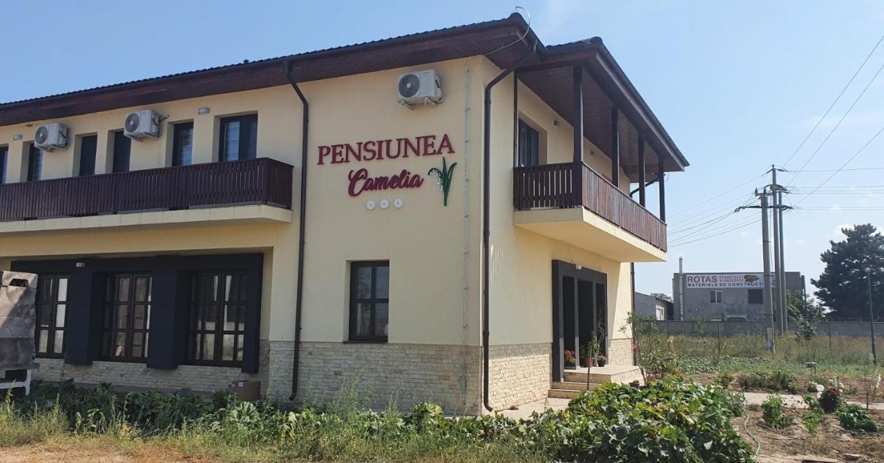 באיה Pensiunea Camelia מראה חיצוני תמונה