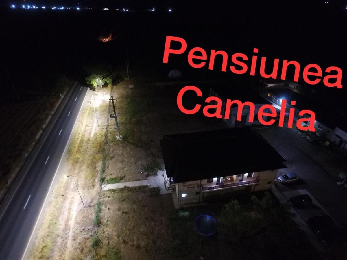 באיה Pensiunea Camelia מראה חיצוני תמונה